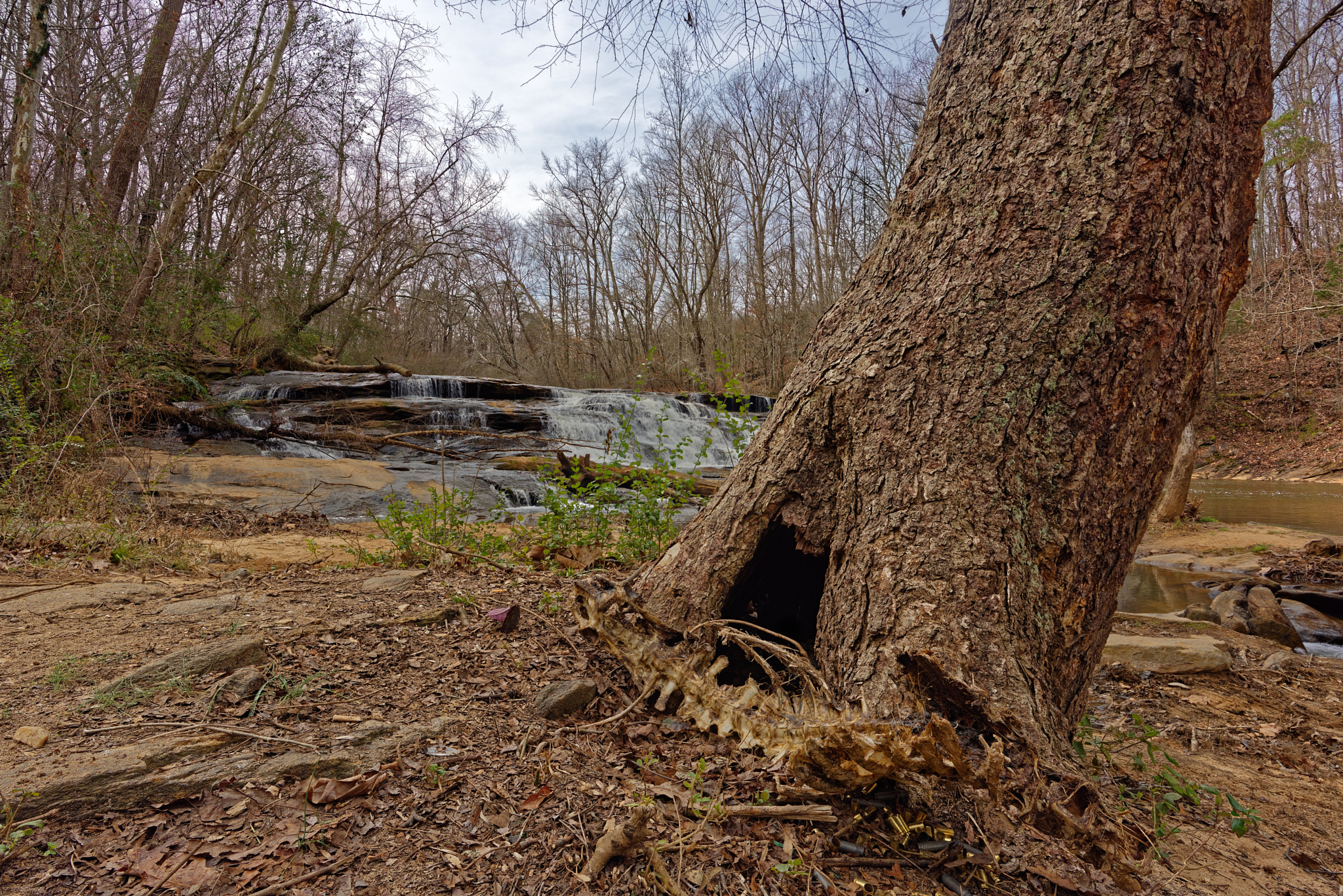 Nikon D810 + Nikon AF-S Nikkor 20mm F1.8G ED sample photo. Shacktownfallsyadkinvillenc-02-21-2017-003 photography