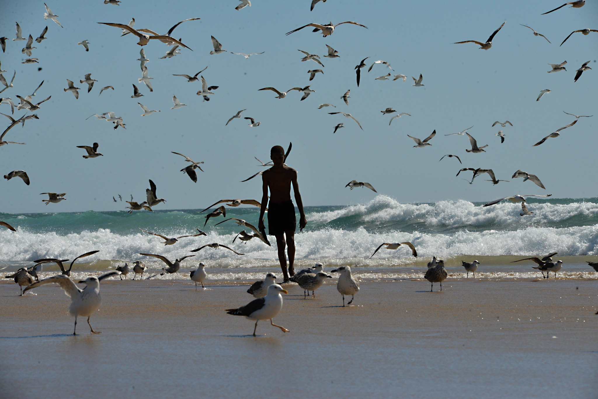 Sigma 150-500mm F5-6.3 DG OS HSM sample photo. Pesca na caparica photography