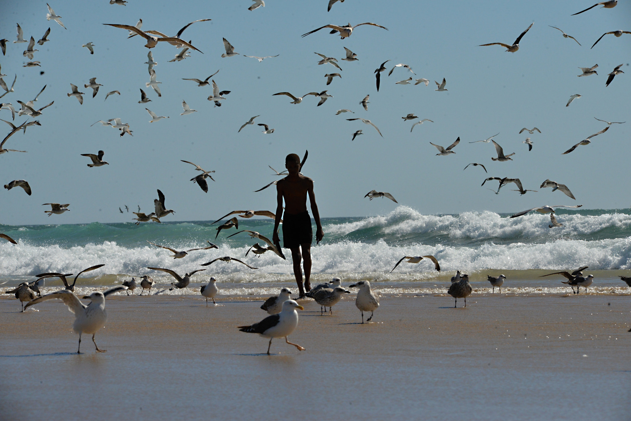 Nikon D610 + Sigma 150-500mm F5-6.3 DG OS HSM sample photo. Pesca na caparica photography