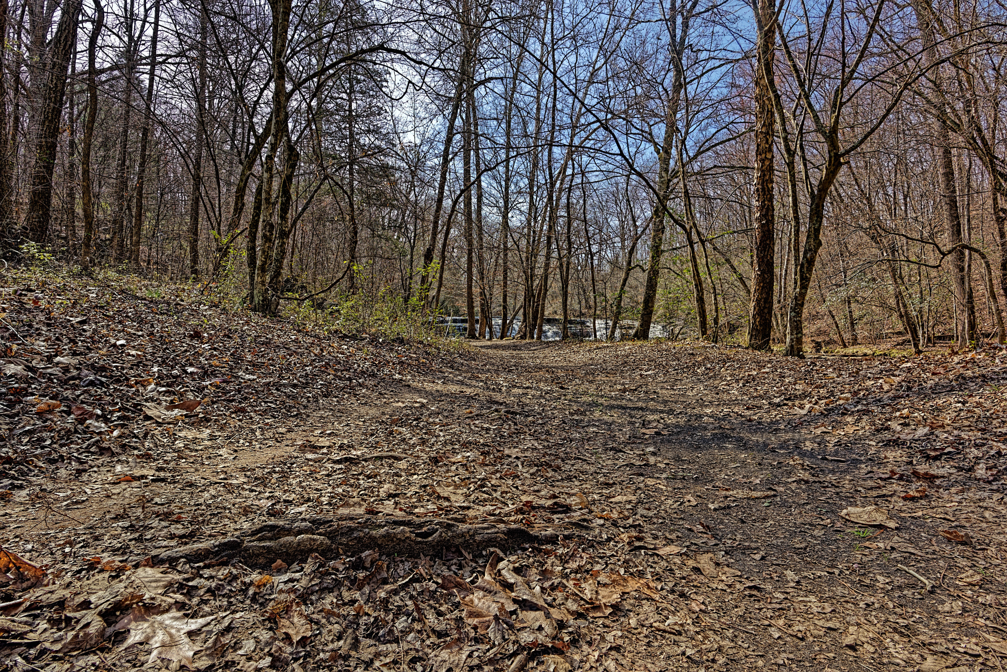 Nikon D810 + Nikon AF-S Nikkor 20mm F1.8G ED sample photo. Shacktownfallsyadkinvillenc-02-21-2017-007 photography