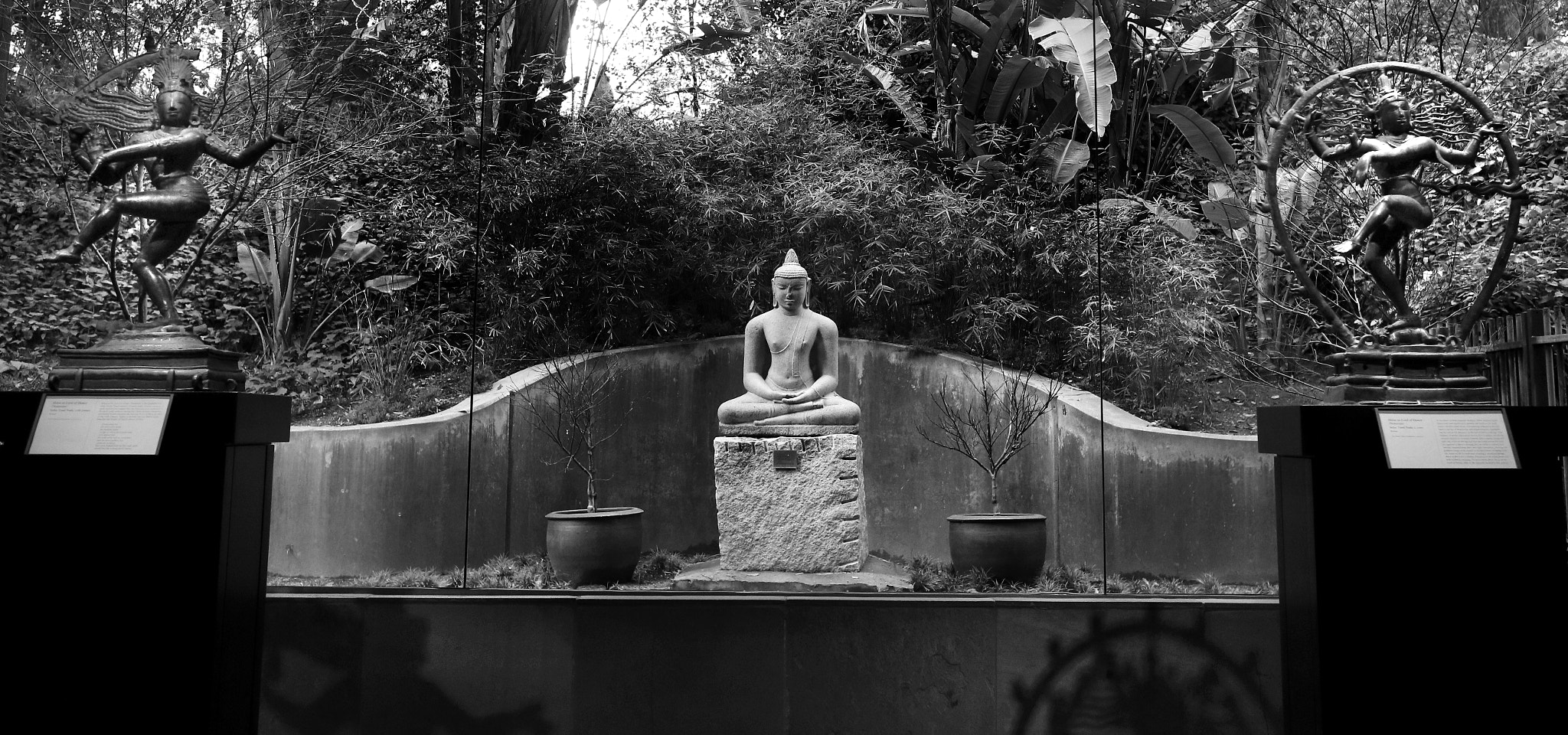 Canon EOS M3 + Canon EF-M 22mm F2 STM sample photo. Winter garden meditation photography