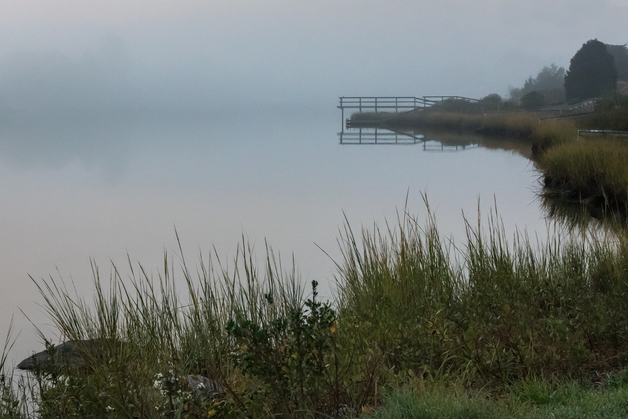 Canon EF 24-70mm F2.8L II USM sample photo. The cove photography