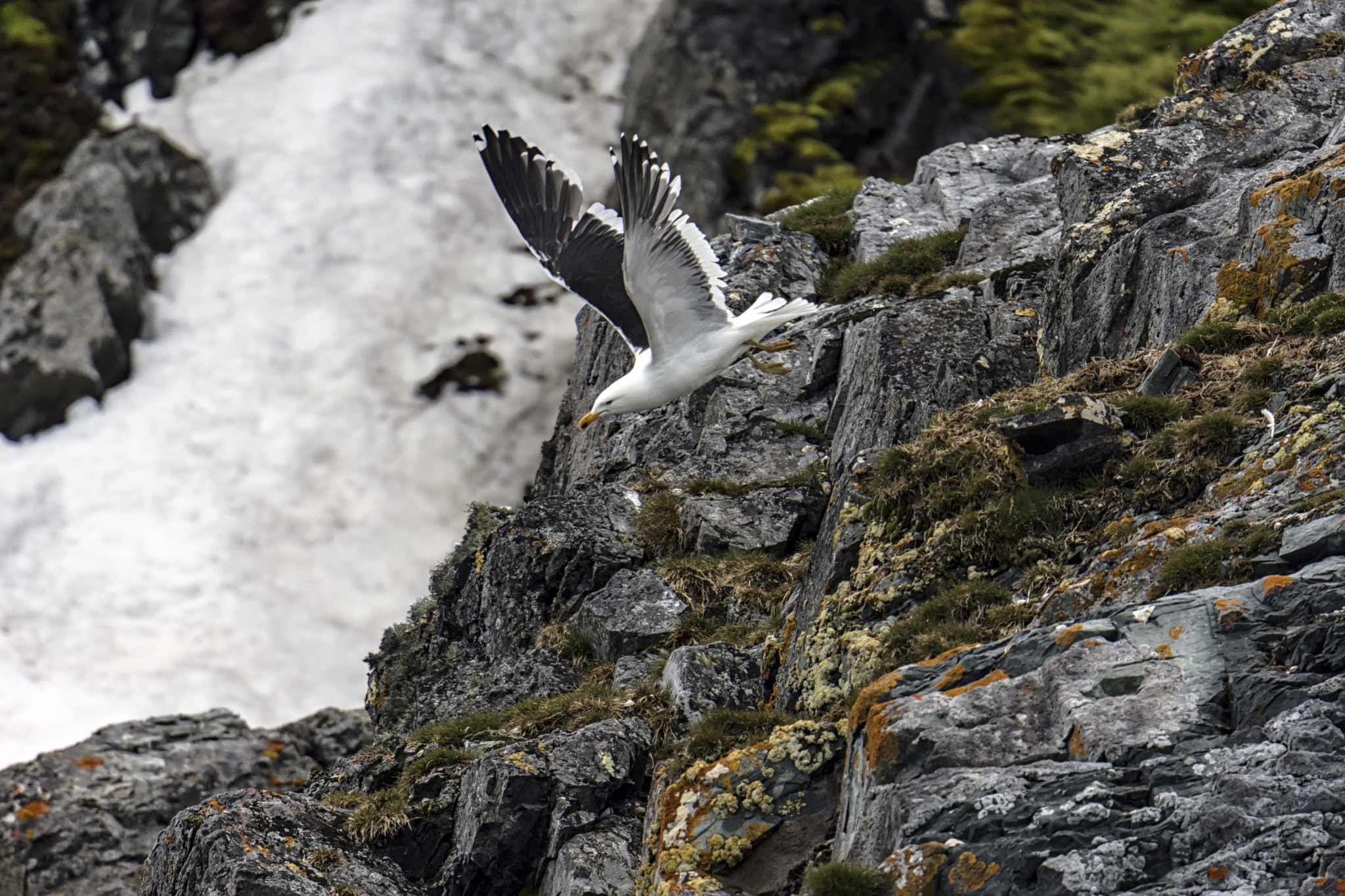 Nikon D7200 sample photo. Volando photography