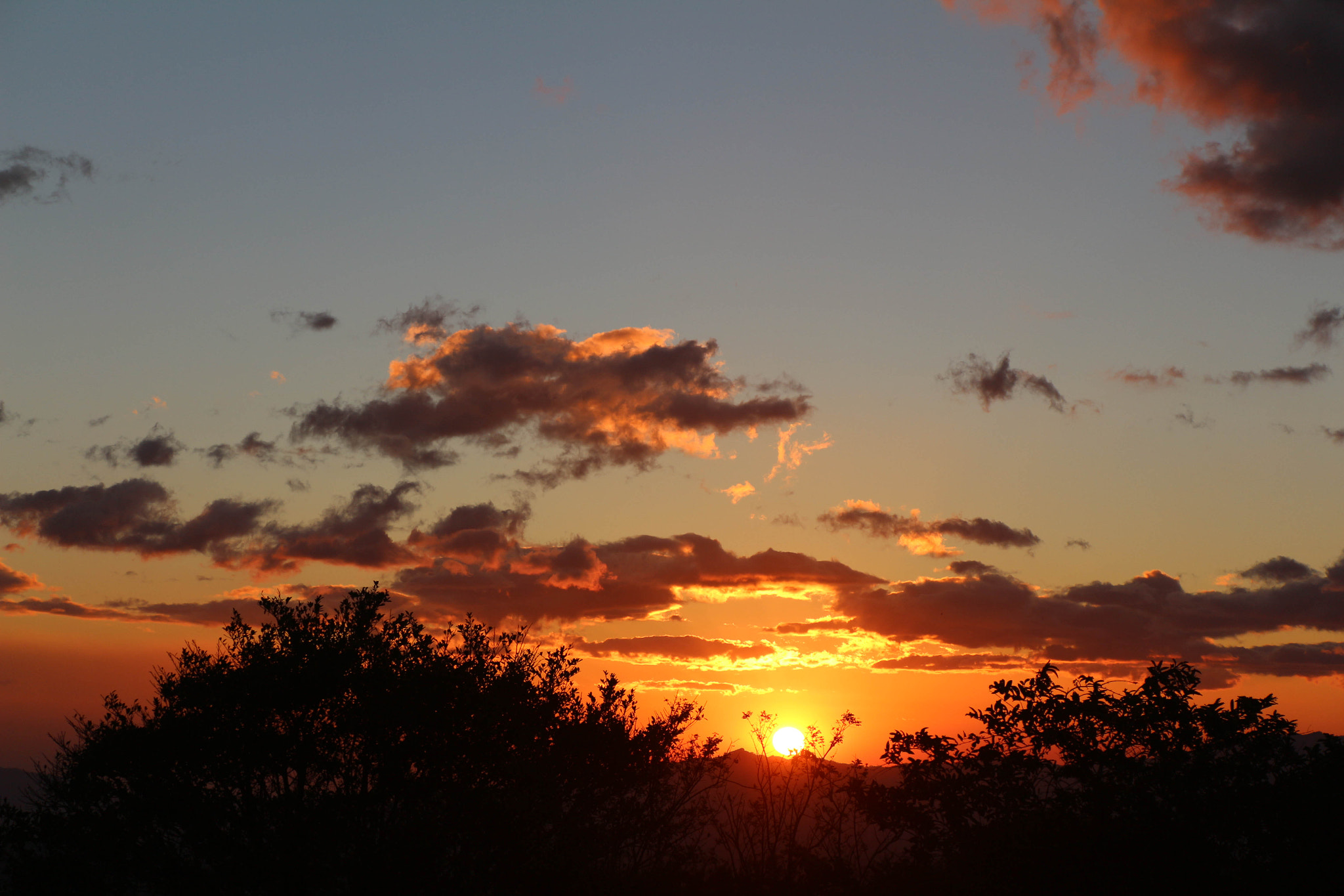 Canon EOS 650D (EOS Rebel T4i / EOS Kiss X6i) sample photo. Sky is on fire. photography