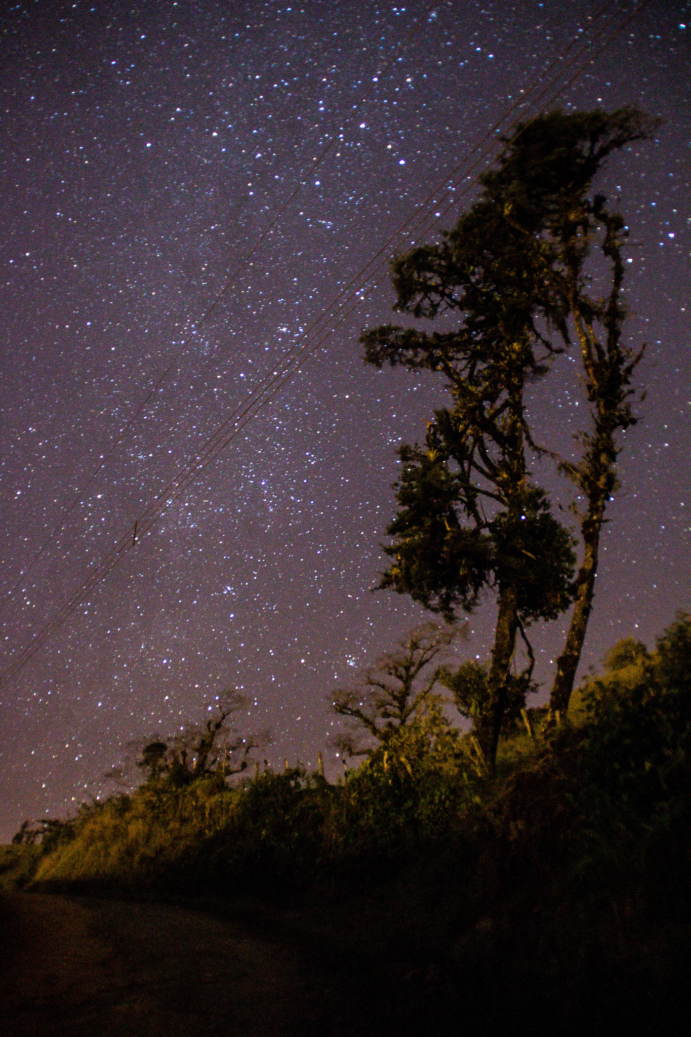 Canon EOS 650D (EOS Rebel T4i / EOS Kiss X6i) sample photo. Night sky. photography