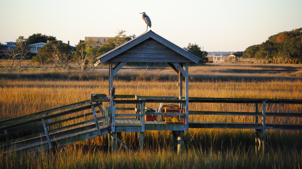 Nikon D3000 sample photo. Salt marsh walk photography