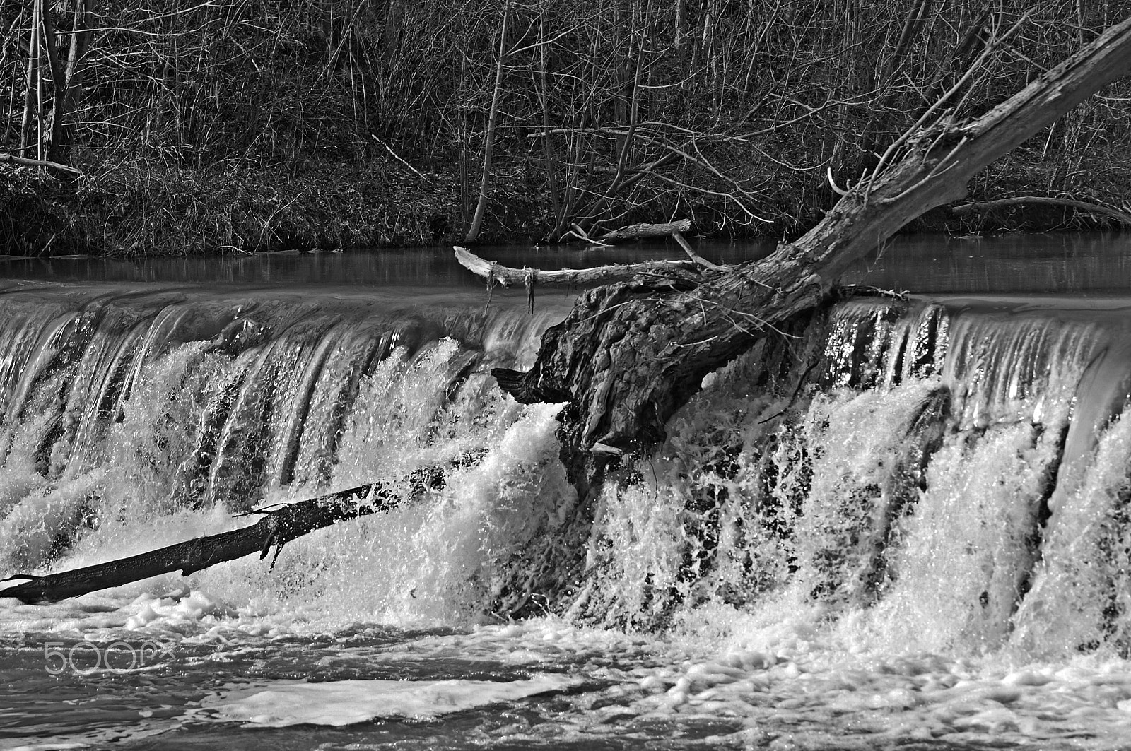 Sony SLT-A37 sample photo. Waterfall ~ treefall photography