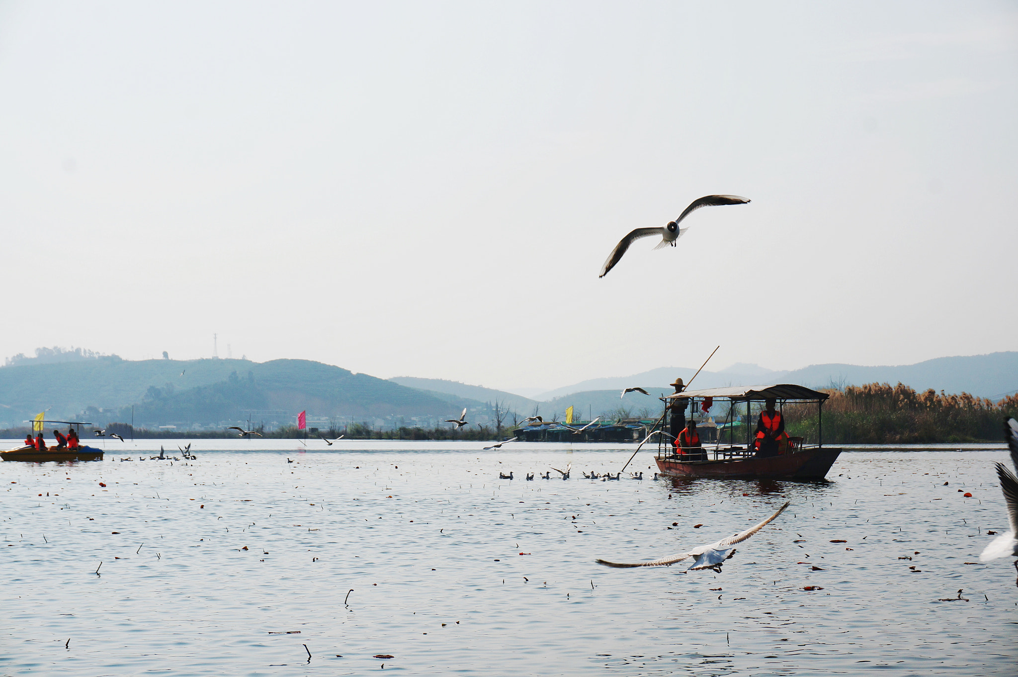 Sony Alpha NEX-5R + Sony E 18-50mm F4-5.6 sample photo