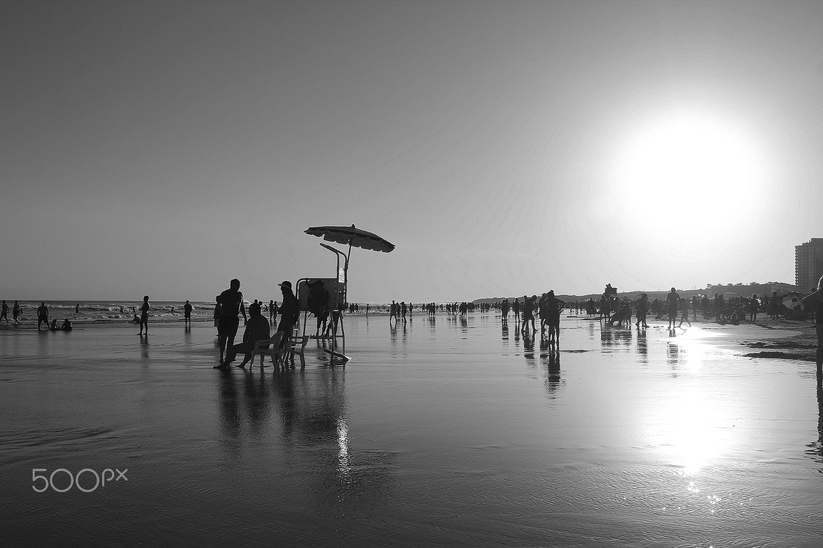 Canon EOS 550D (EOS Rebel T2i / EOS Kiss X4) sample photo. Sunset (b&w) photography