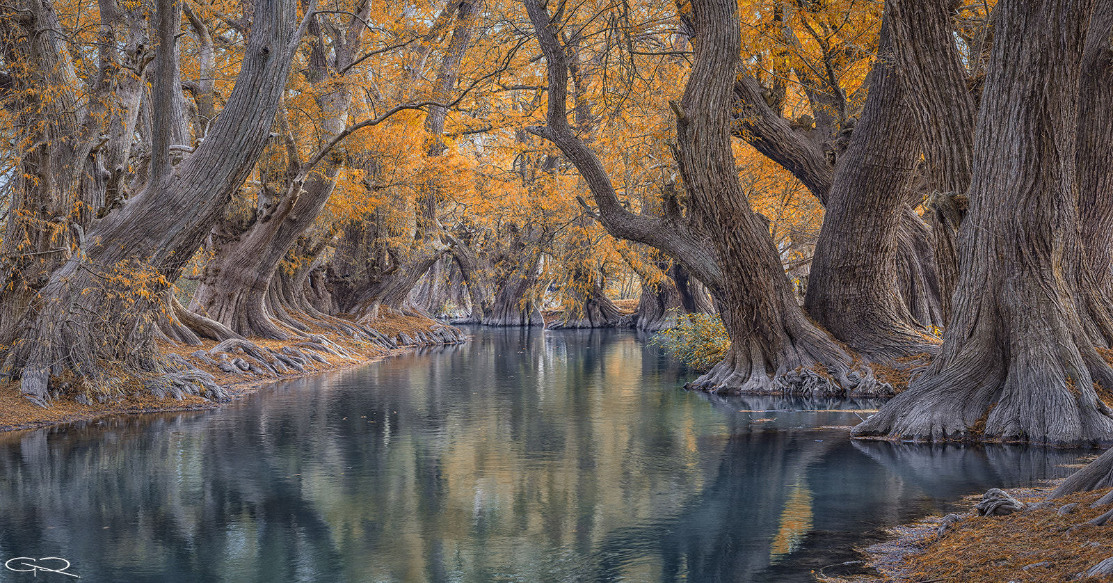 Sigma 24-70mm F2.8 EX DG HSM sample photo. Lago camécuaro photography