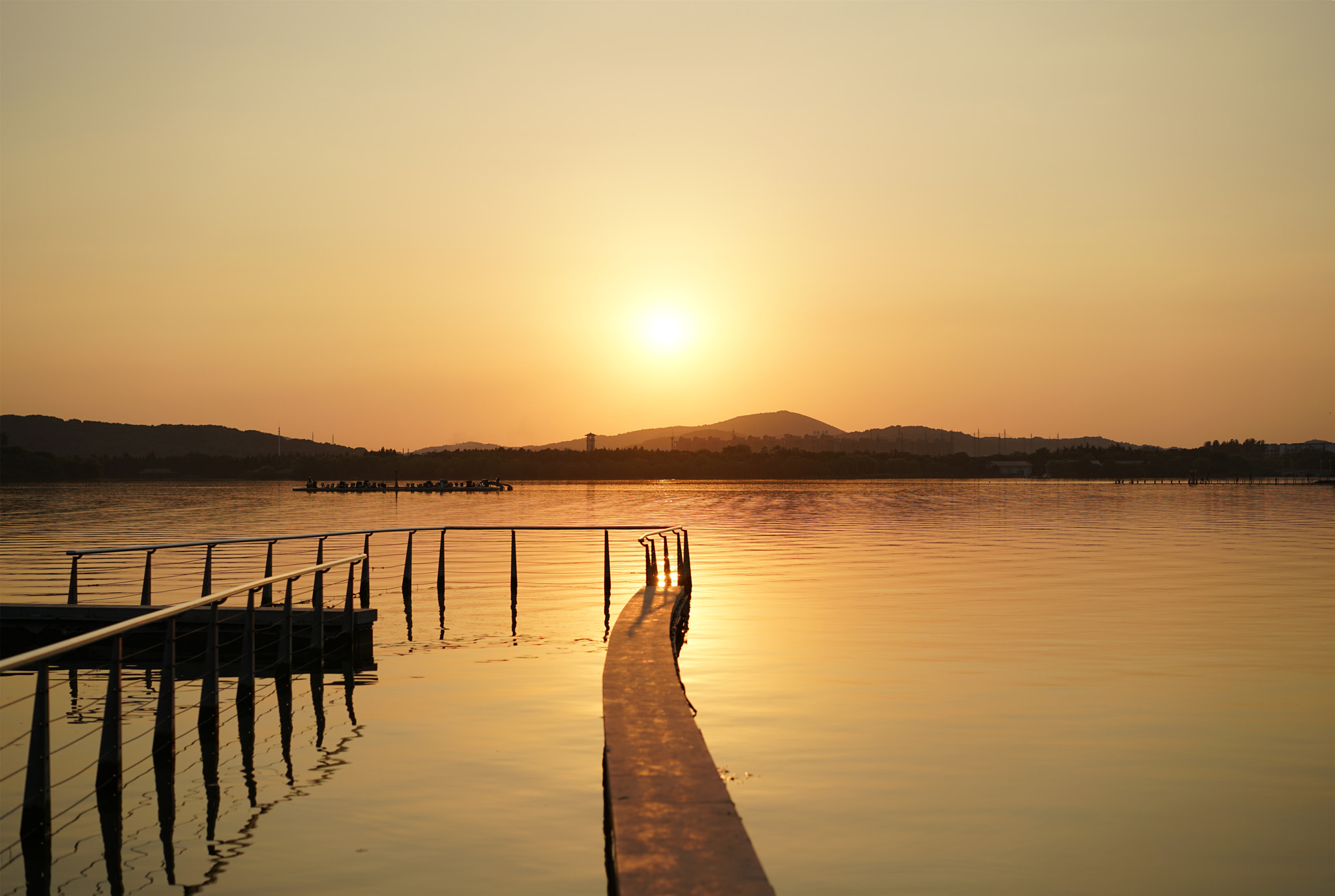 Sony a7R II + Sony Sonnar T* FE 55mm F1.8 ZA sample photo
