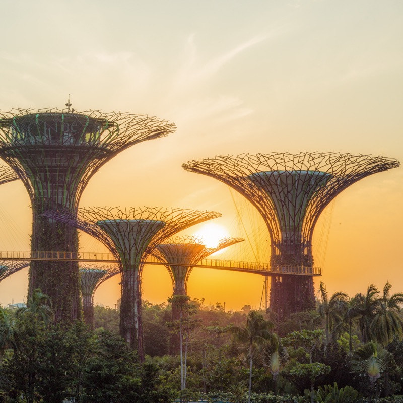 Schneider LS 80mm f/2.8 sample photo. Gardens by the bay photography