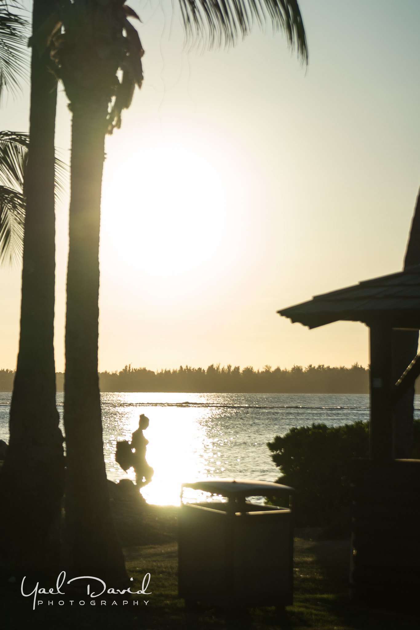 Sony a99 II + Sony 28-75mm F2.8 SAM sample photo. Caribbean paradise... puerto rico photography