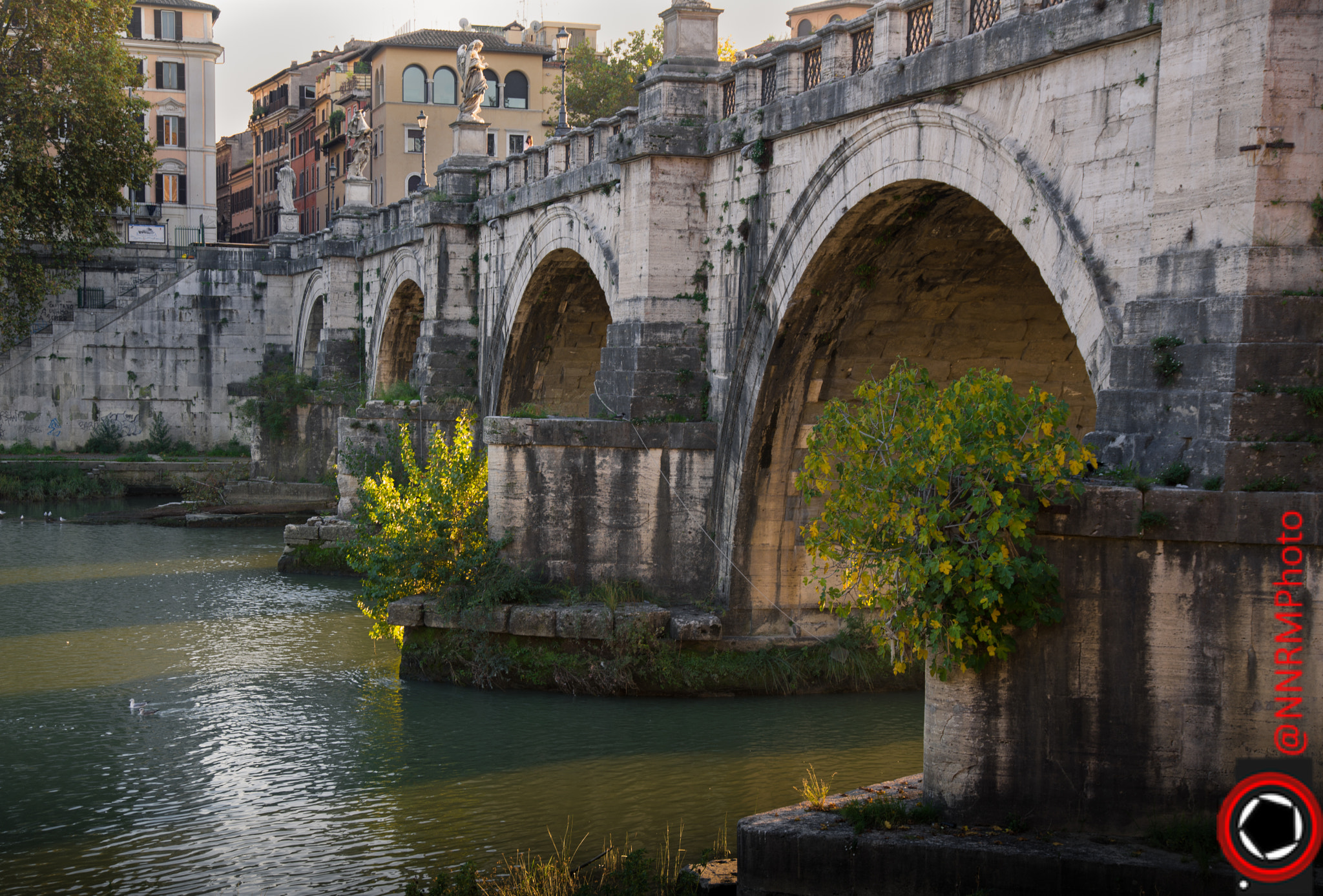 Nikon D610 + Sigma 24-105mm F4 DG OS HSM Art sample photo. Sundown nel tevere photography