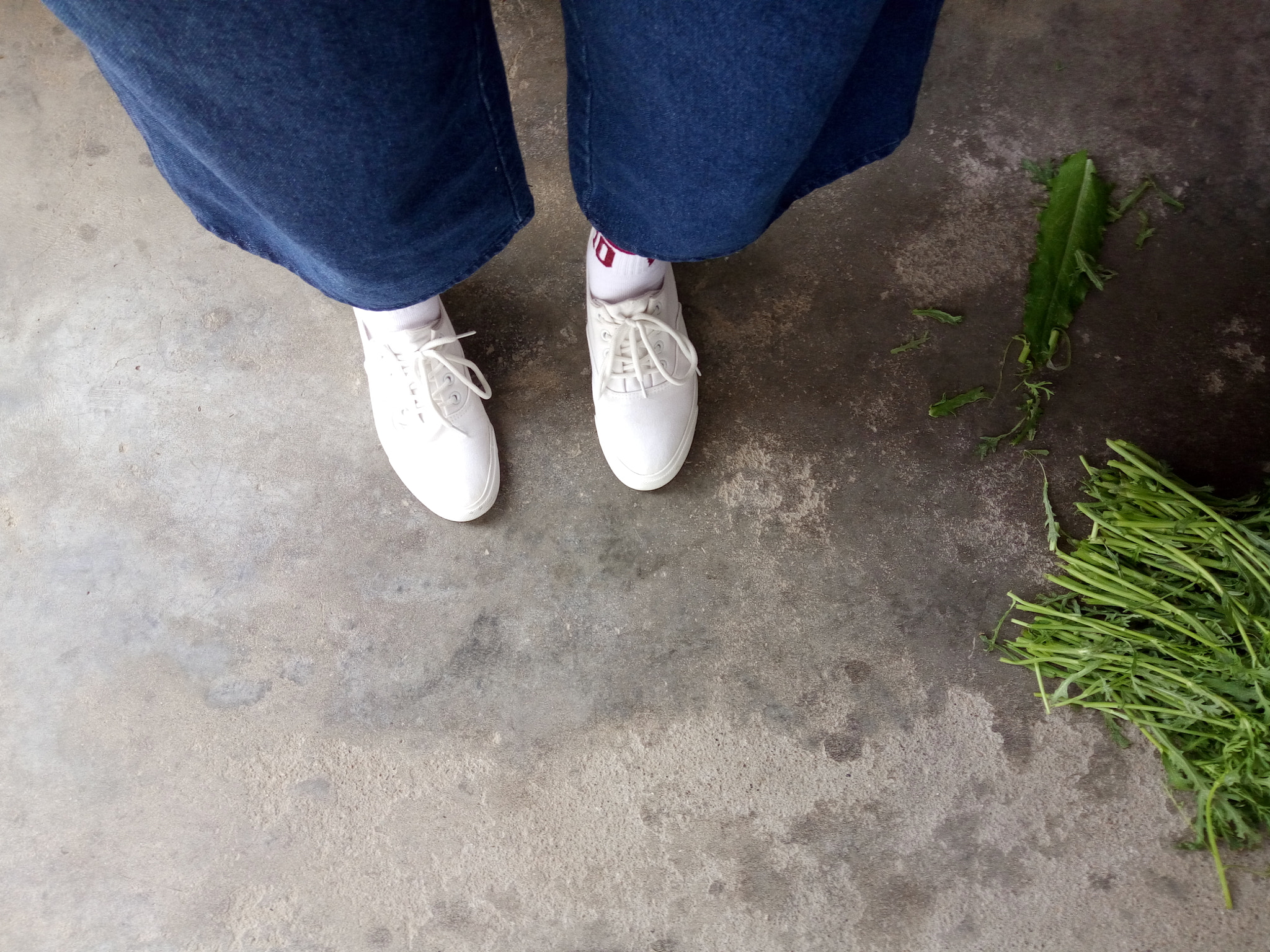 OPPO R7 sample photo. White shoes photography