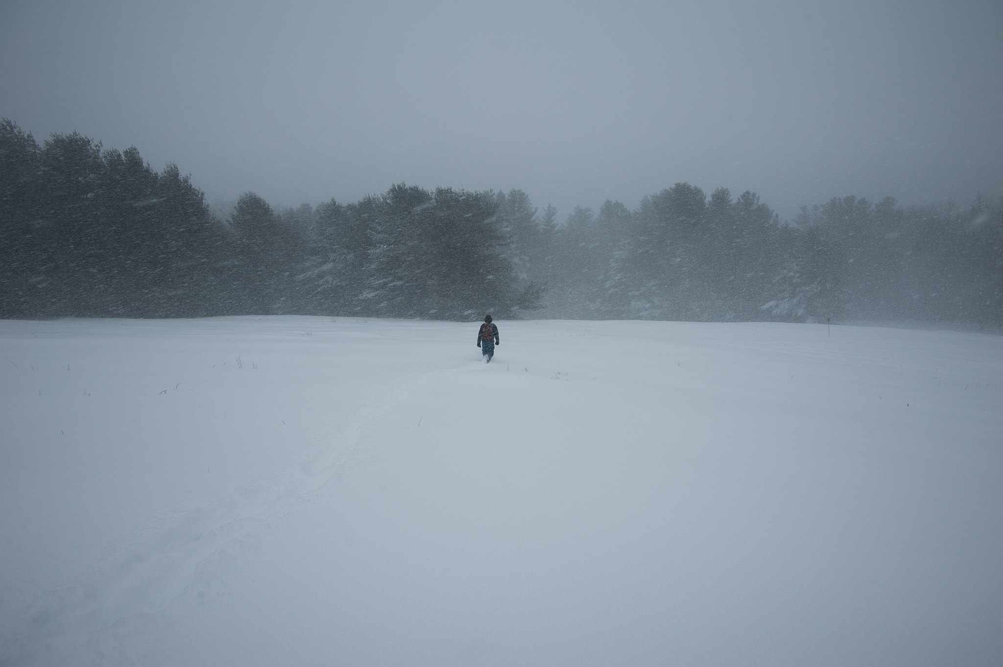 Nikon AF-S Nikkor 16-35mm F4G ED VR sample photo. Blizzard photography