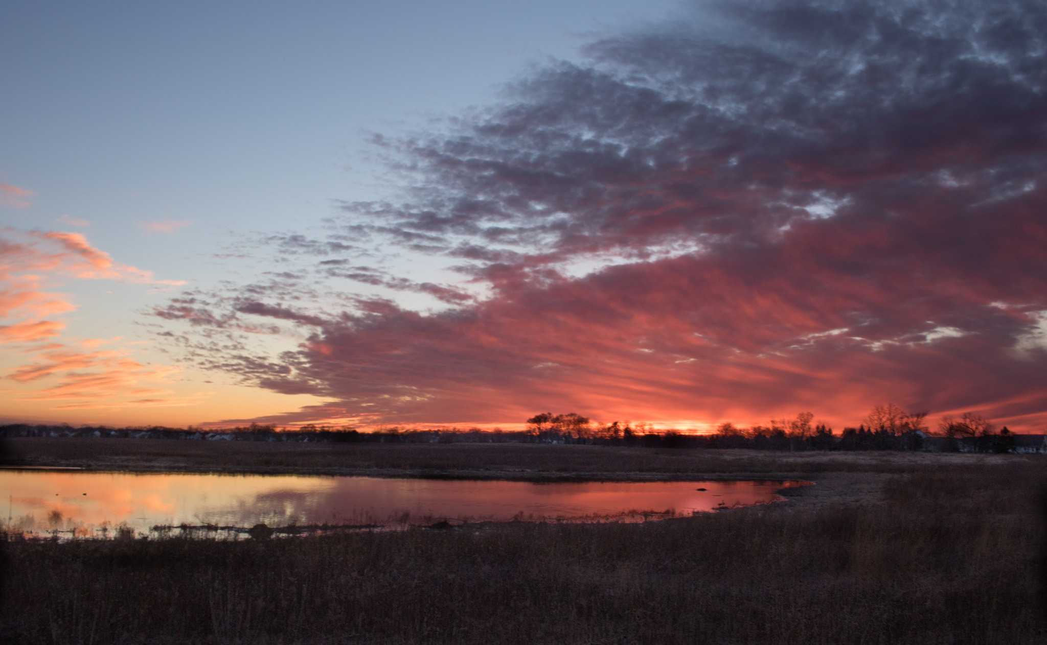 Canon EF-S 24mm F2.8 STM sample photo. Rollins savannah forest preserve february sunset photography