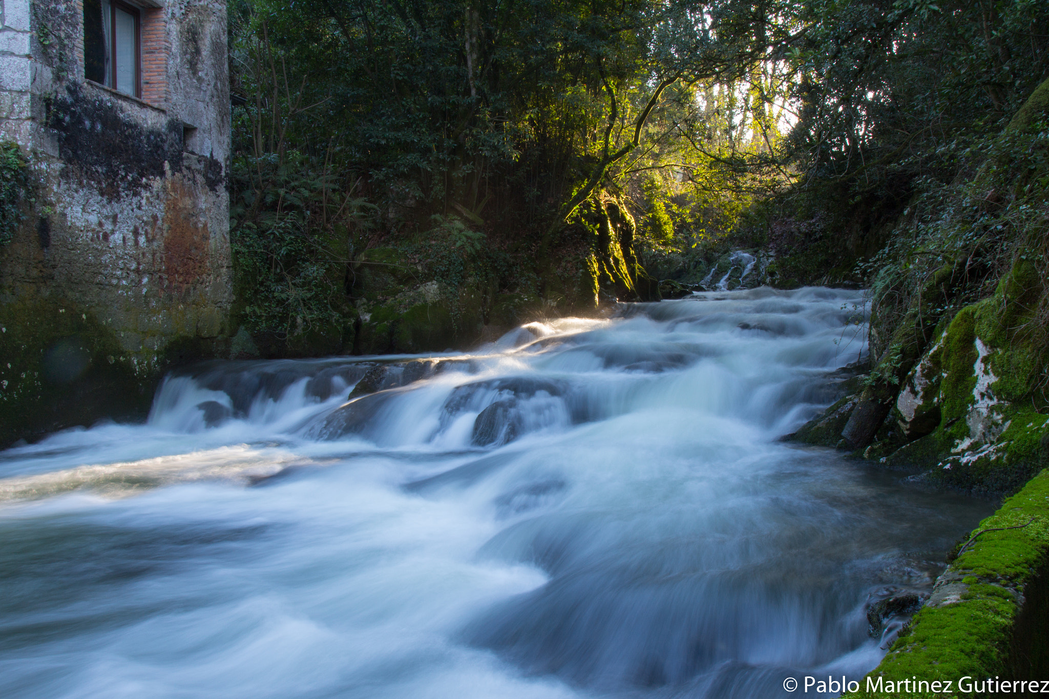 Canon EOS 700D (EOS Rebel T5i / EOS Kiss X7i) + Canon EF 24-105mm F4L IS USM sample photo. Fuente del francés en hoznayo photography