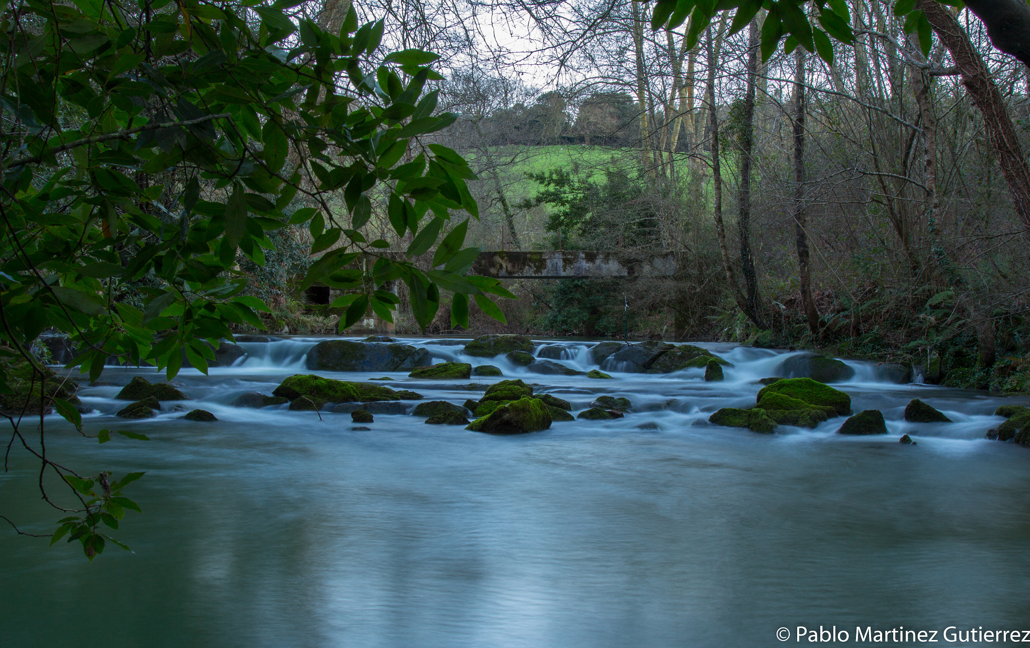 Canon EOS 700D (EOS Rebel T5i / EOS Kiss X7i) sample photo. Fuente del francés en hoznayo photography