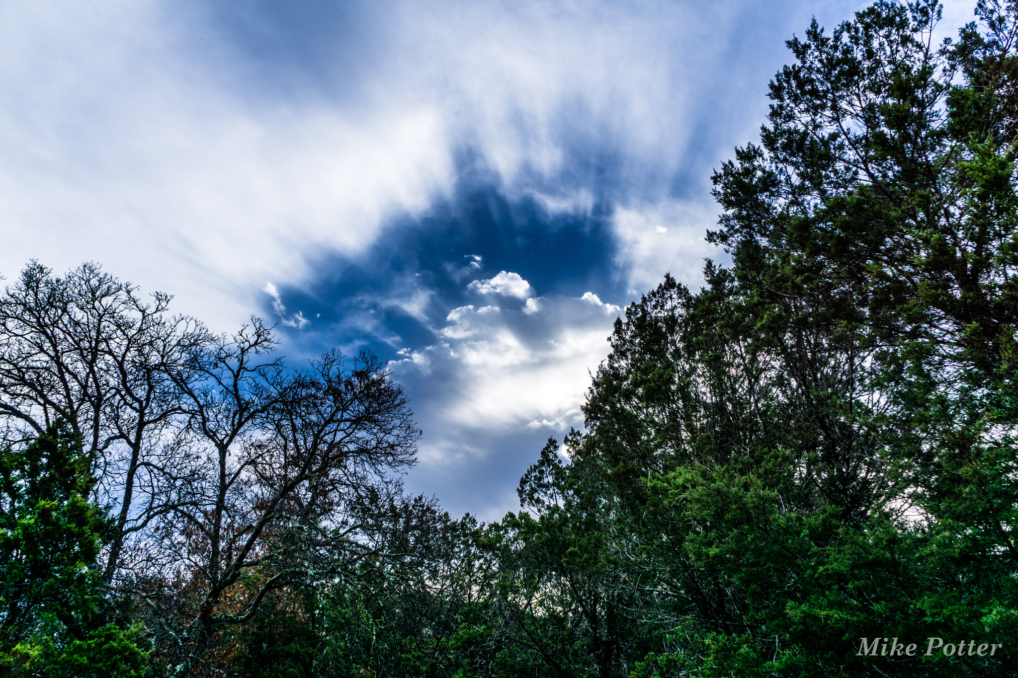 Sony a6000 + Sony E 18-55mm F3.5-5.6 OSS sample photo. South llano river state park, texas photography