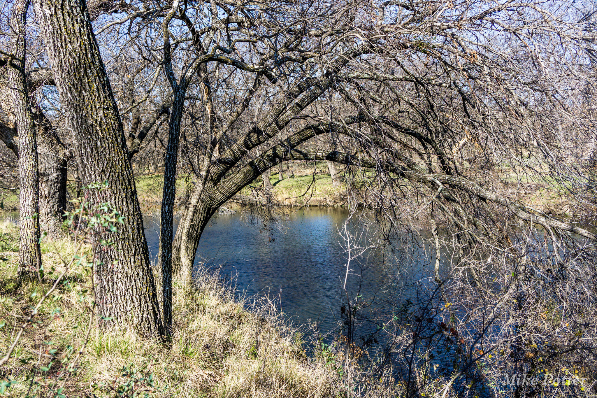 Sony a6000 + Sony E 18-55mm F3.5-5.6 OSS sample photo. Buck lake photography