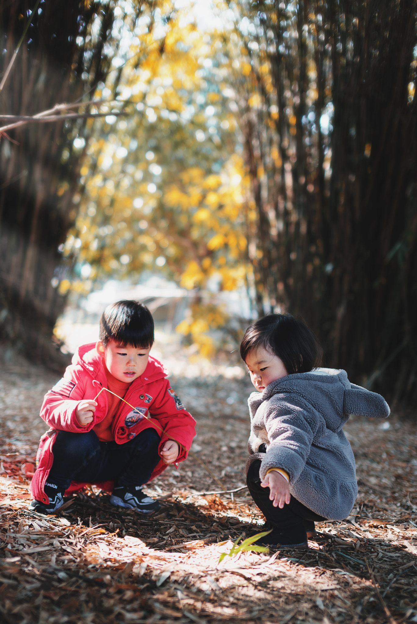 Nikon D750 + Sigma 50mm F1.4 EX DG HSM sample photo. 和哥哥玩耍 photography