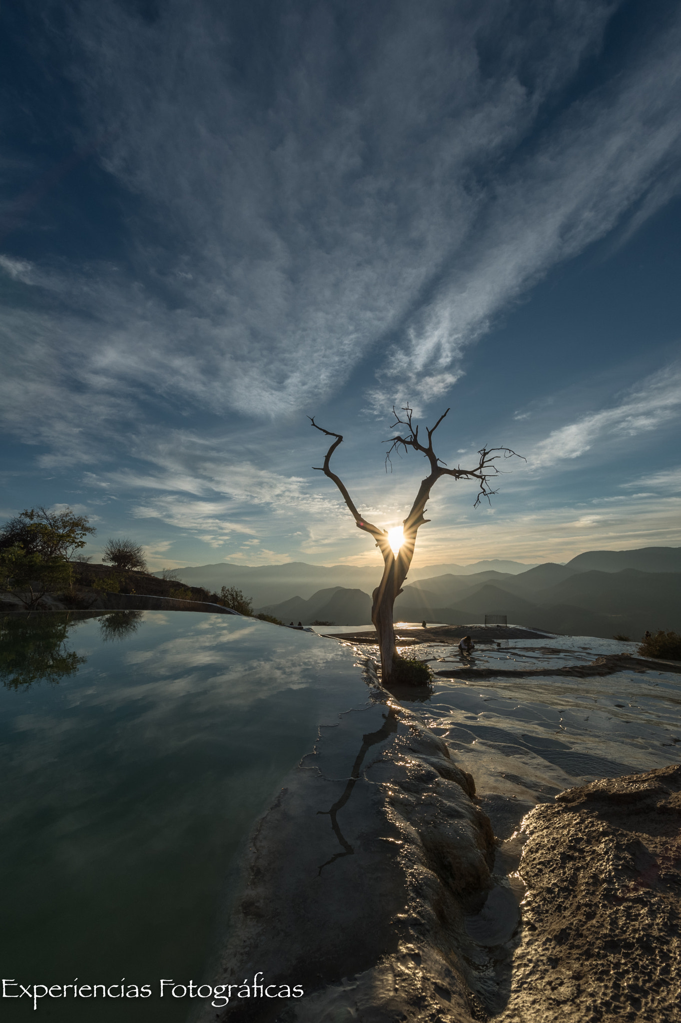 Nikon D4 + Nikon AF-S Nikkor 14-24mm F2.8G ED sample photo. Lonely tree with sun rising photography