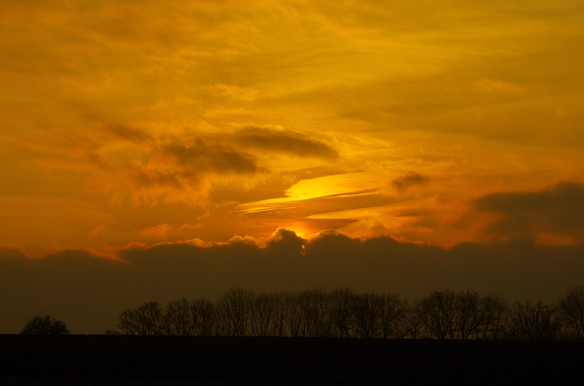 Pentax K-5 sample photo. Magic of the morning photography