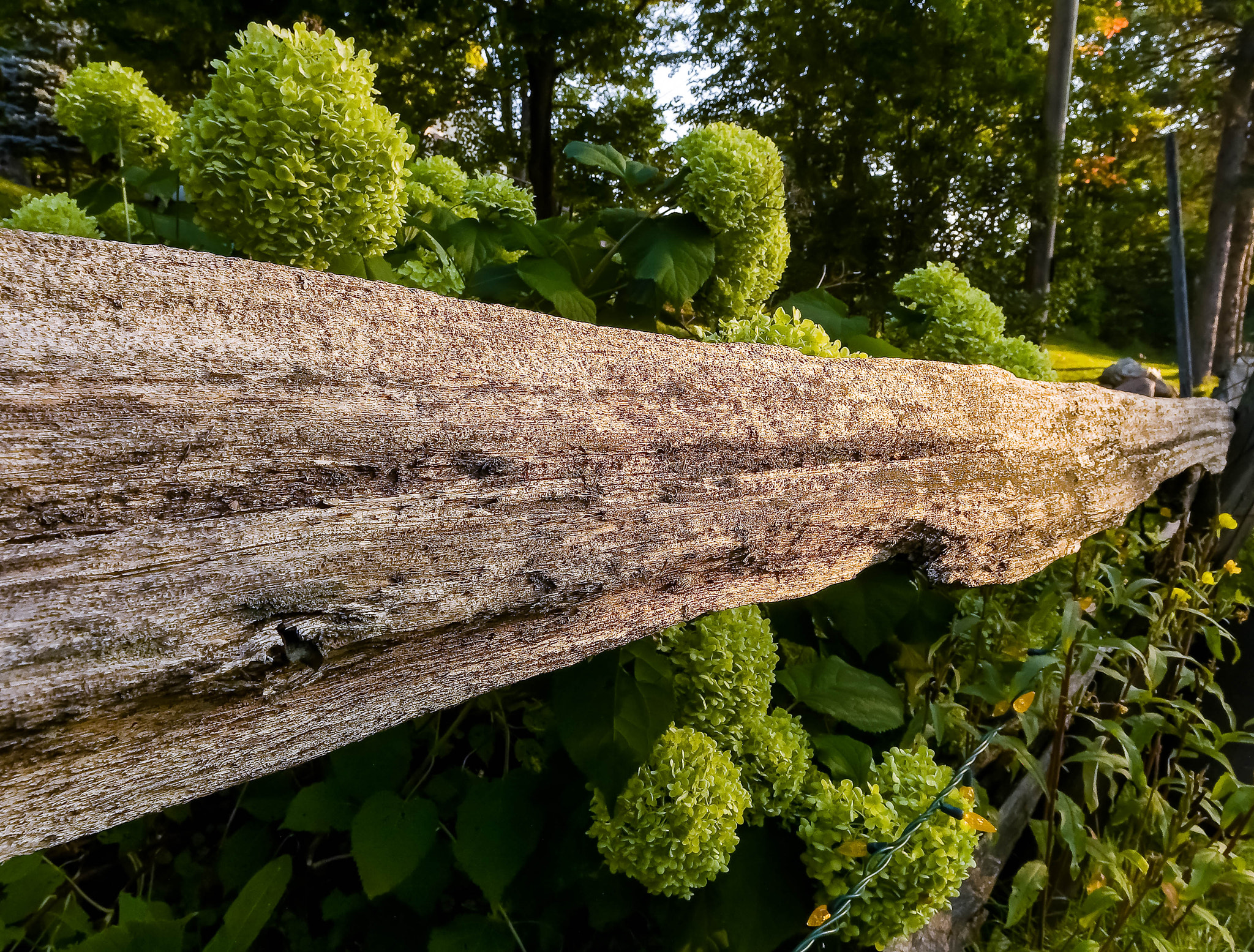 Canon EOS 5D sample photo. Wood fence photography