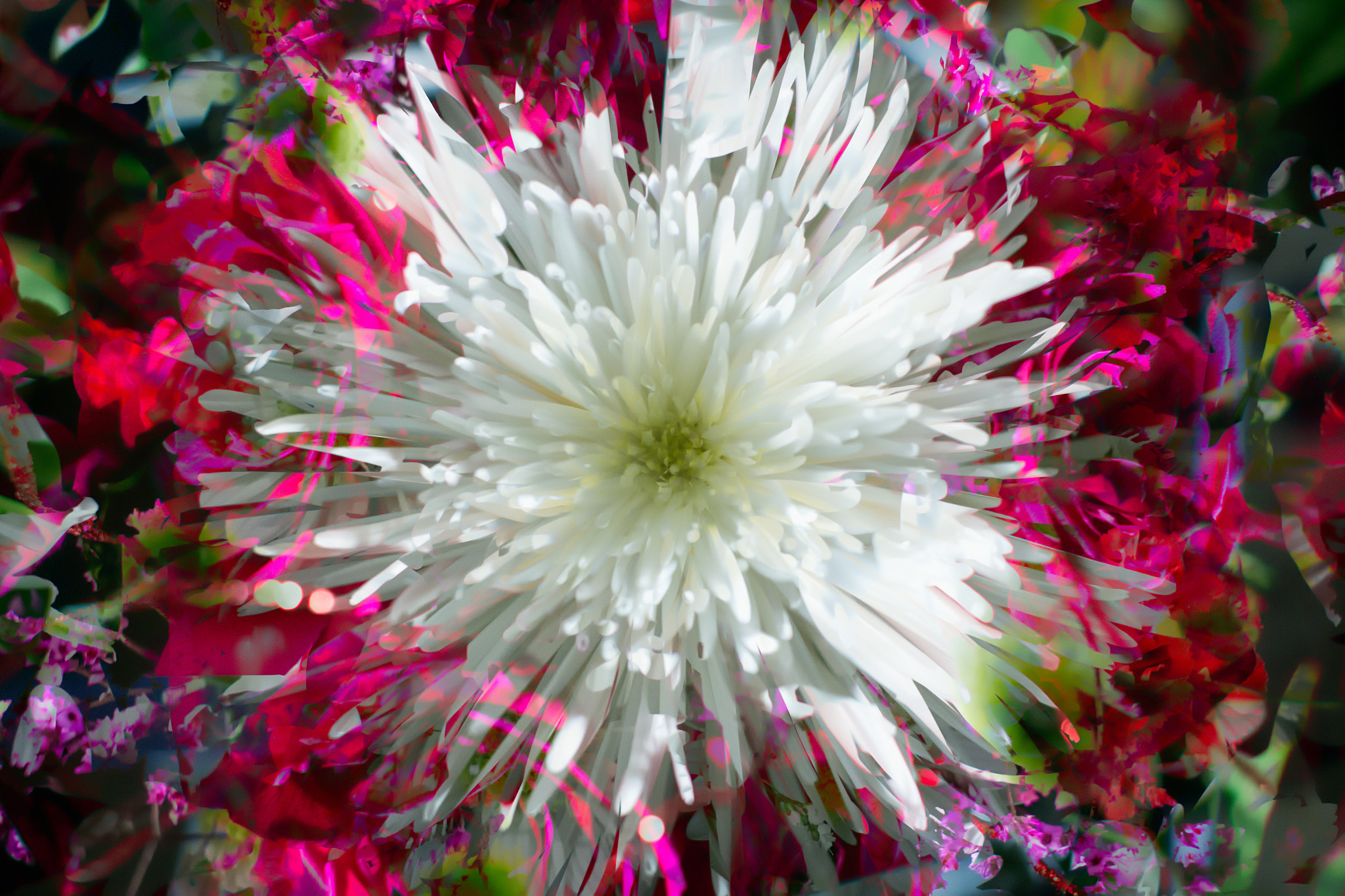 Fujifilm X-E1 + Fujifilm XF 35mm F1.4 R sample photo. Explosion photography