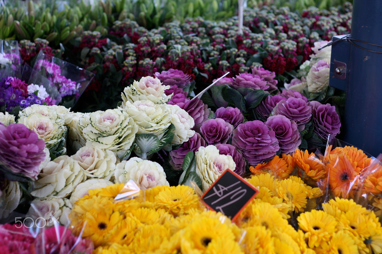 Canon EOS 450D (EOS Rebel XSi / EOS Kiss X2) sample photo. Multicoloured flowers and greens in a market photography