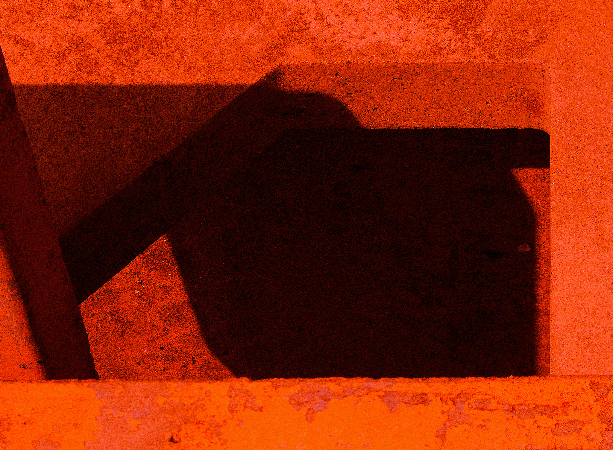 Fujifilm FinePix E550 sample photo. Park shadow ps photography