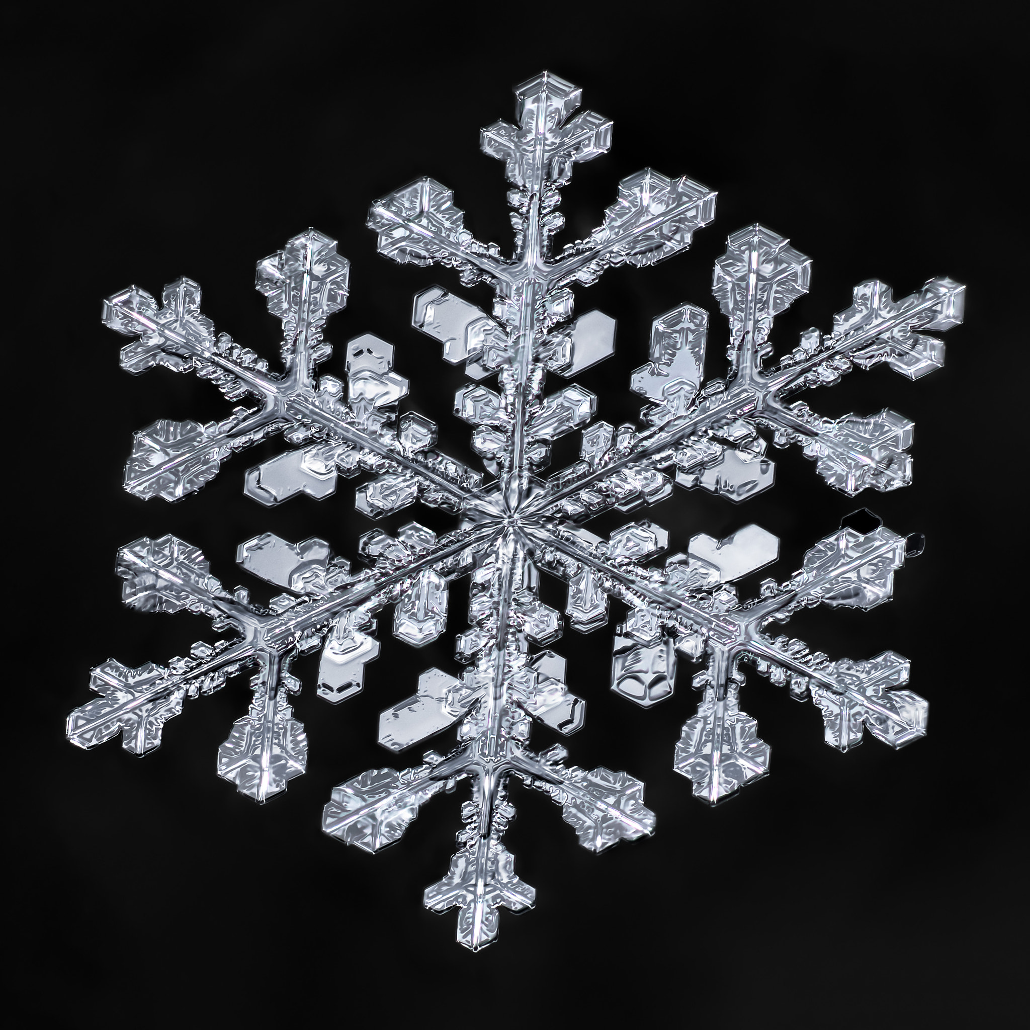 Canon MP-E 65mm F2.5 1-5x Macro Photo sample photo. Snowflake-a-day #55 photography