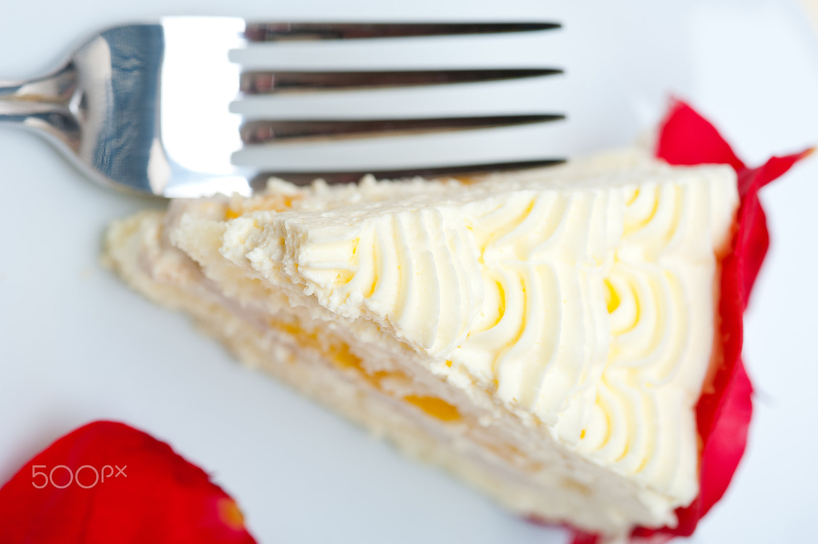 AF Micro-Nikkor 105mm f/2.8 sample photo. Whipped cream mango cake photography