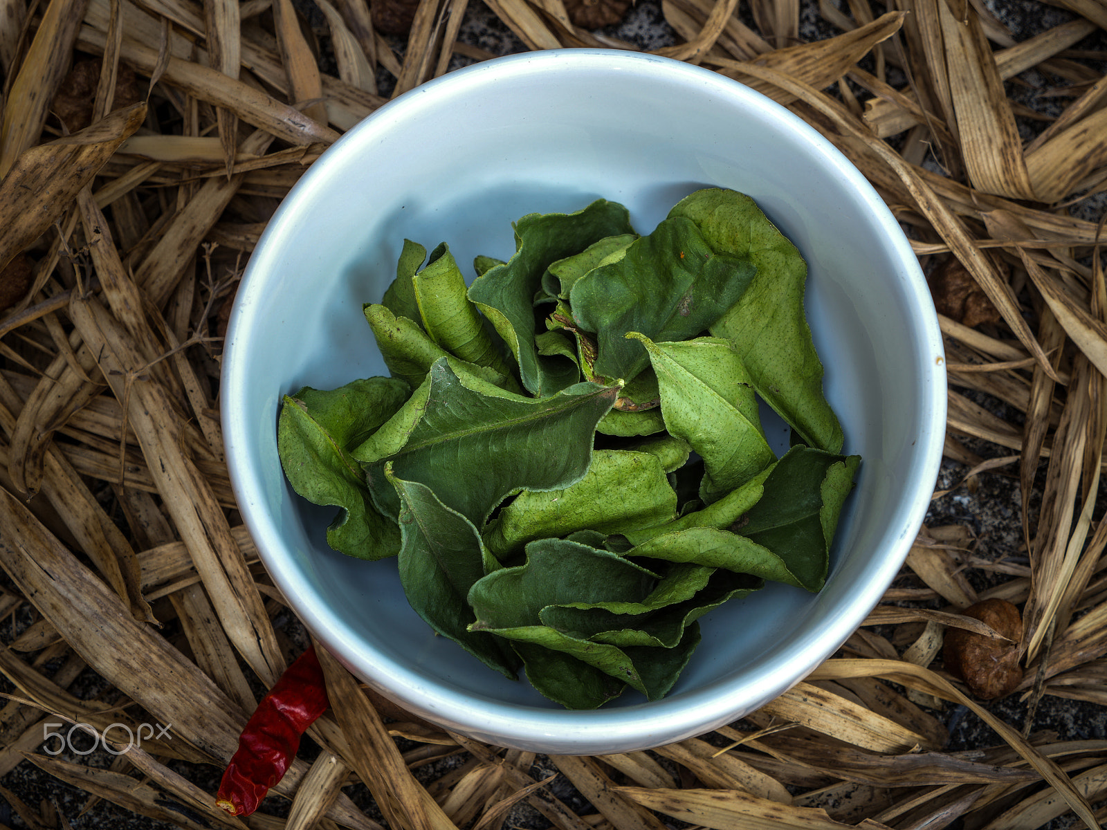 Olympus OM-D E-M5 II sample photo. Dried kaffir. photography