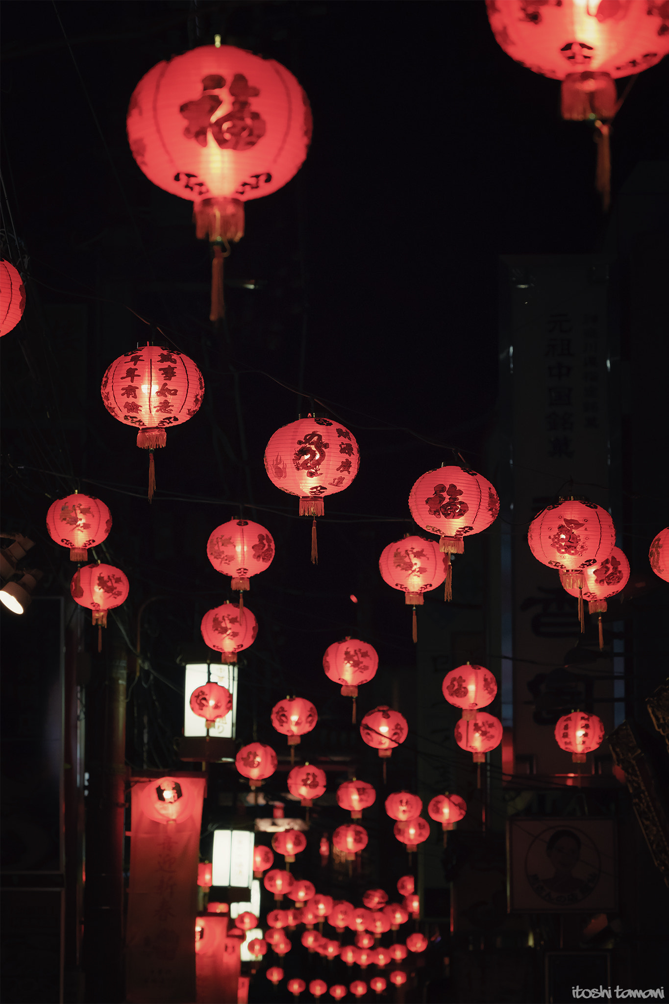 Sony FE 70-300mm F4.5-5.6 G OSS sample photo. Lantern photography