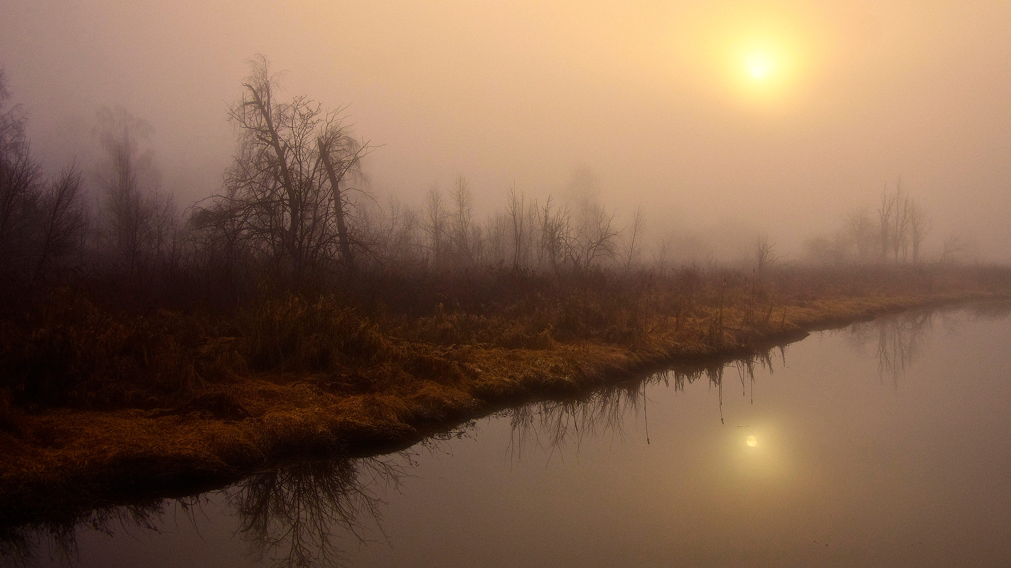 Pentax K-5 sample photo. Grey beginnings photography