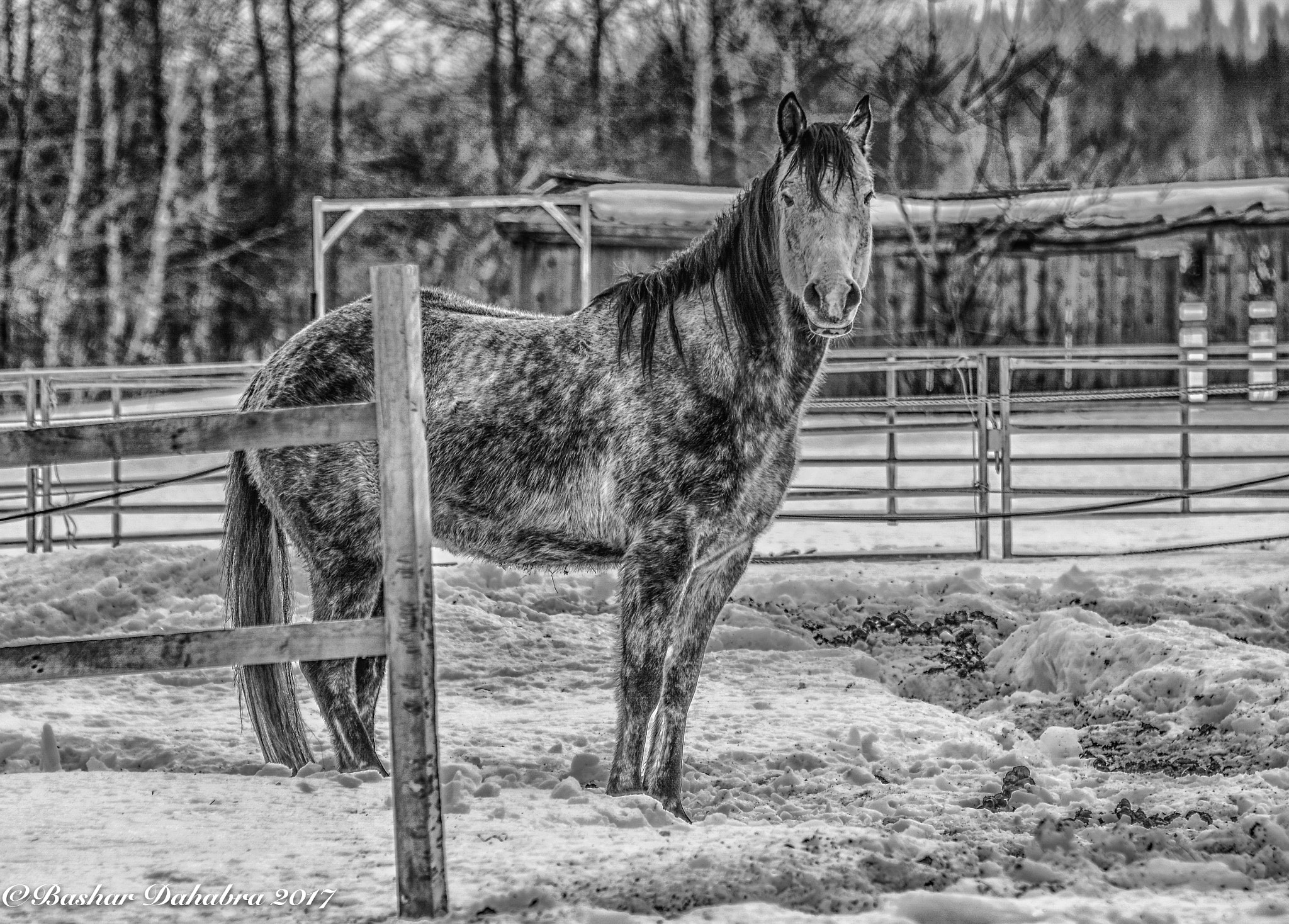 Nikon D500 sample photo. Bd photo photography