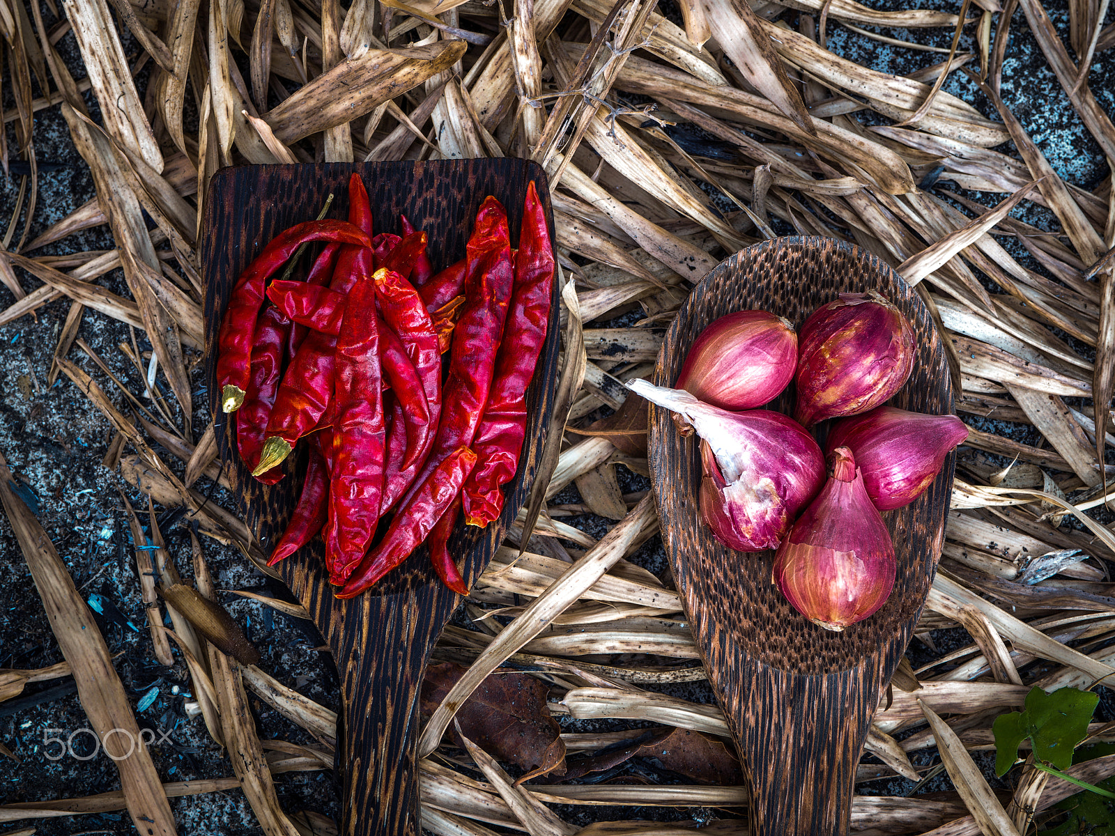 Olympus OM-D E-M5 II sample photo. Thai spices. thai herbs : chilli,garlic,shallots. photography
