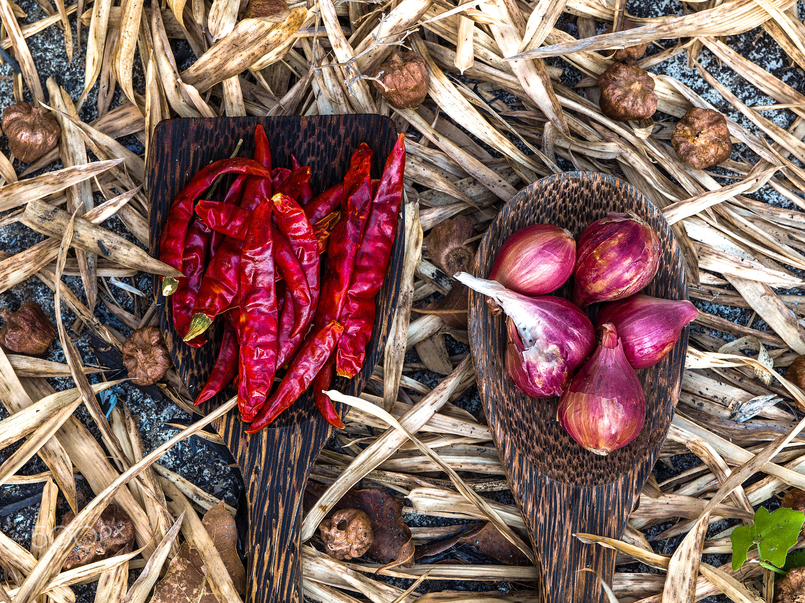 Olympus OM-D E-M5 II sample photo. Thai spices. thai herbs : chilli,garlic,shallots. photography
