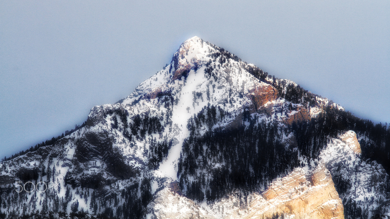 Sigma 150mm f/2.8 EX DG OS HSM APO Macro sample photo. High up from the desert floor... photography