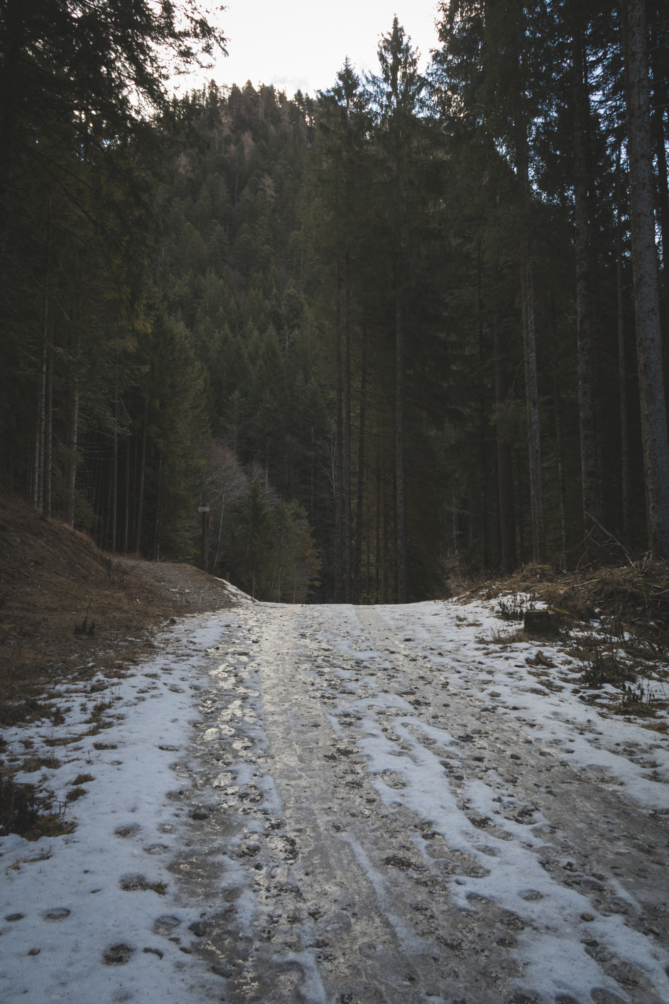 Canon EOS 760D (EOS Rebel T6s / EOS 8000D) sample photo. Icey paths photography