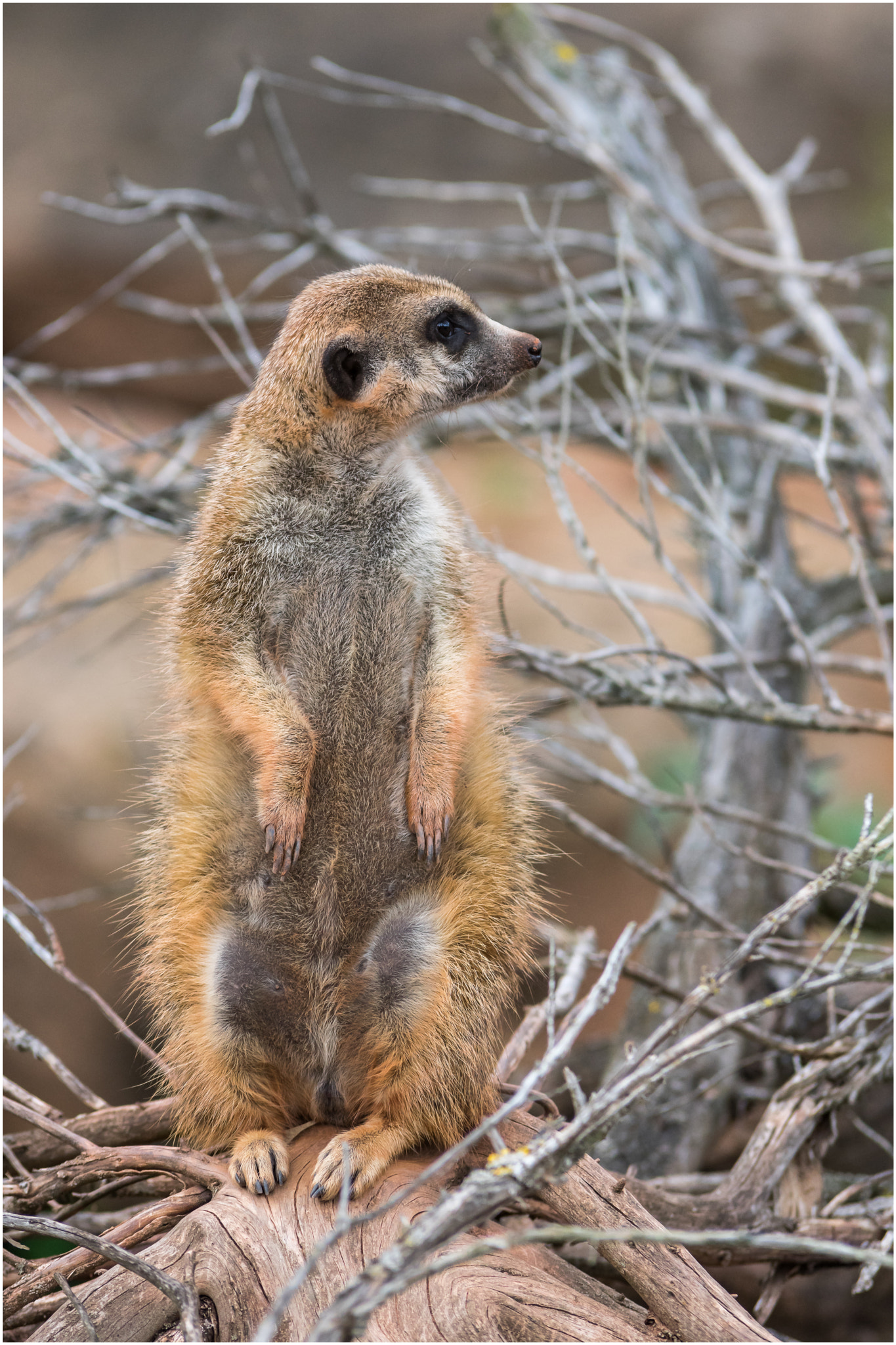 Pentax K-3 sample photo. Keeper photography