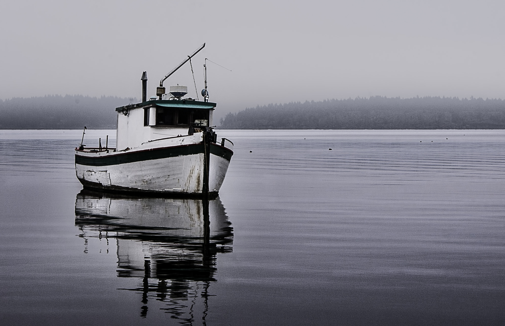 Sony Alpha DSLR-A700 sample photo. Better days photography