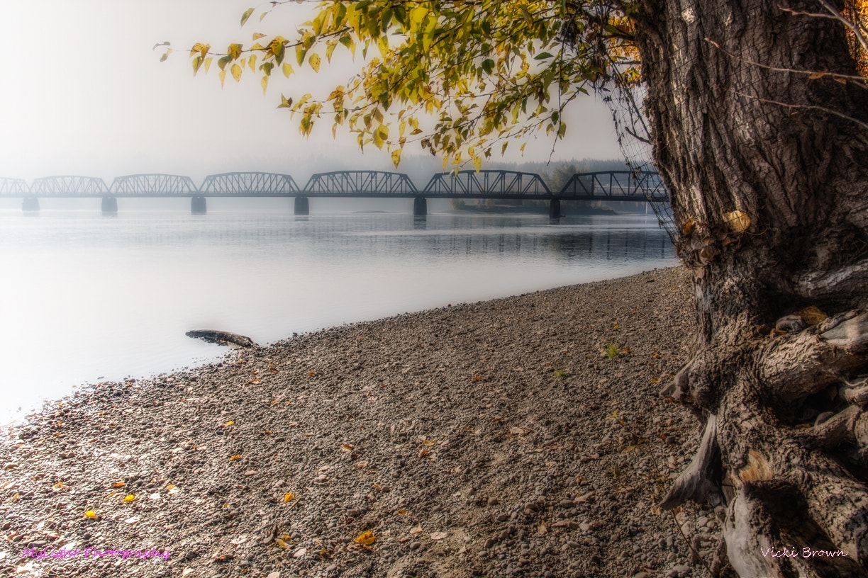 Nikon D7200 sample photo. Into the mist photography