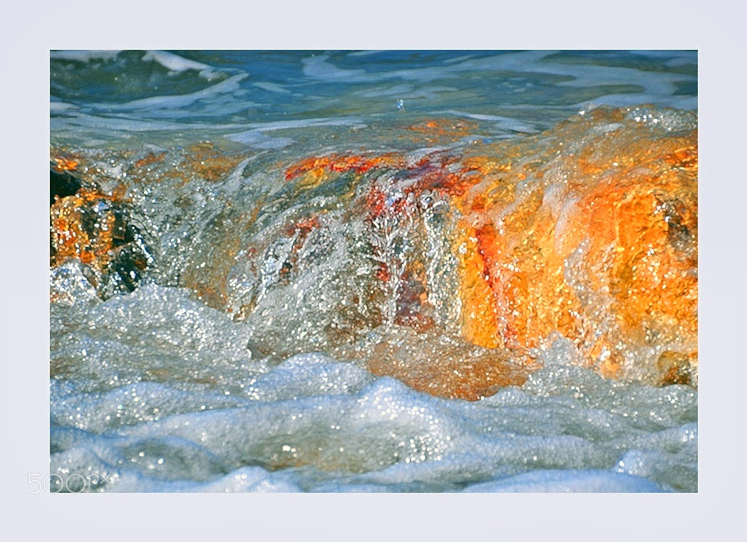 Nikon D5000 sample photo. ** photography