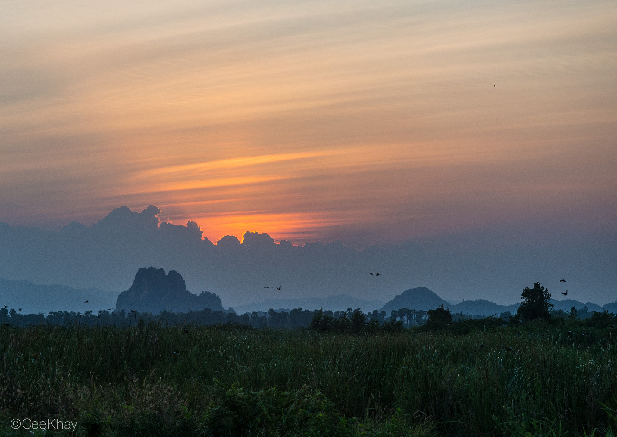 Olympus OM-D E-M10 sample photo. Sunset on my way home photography