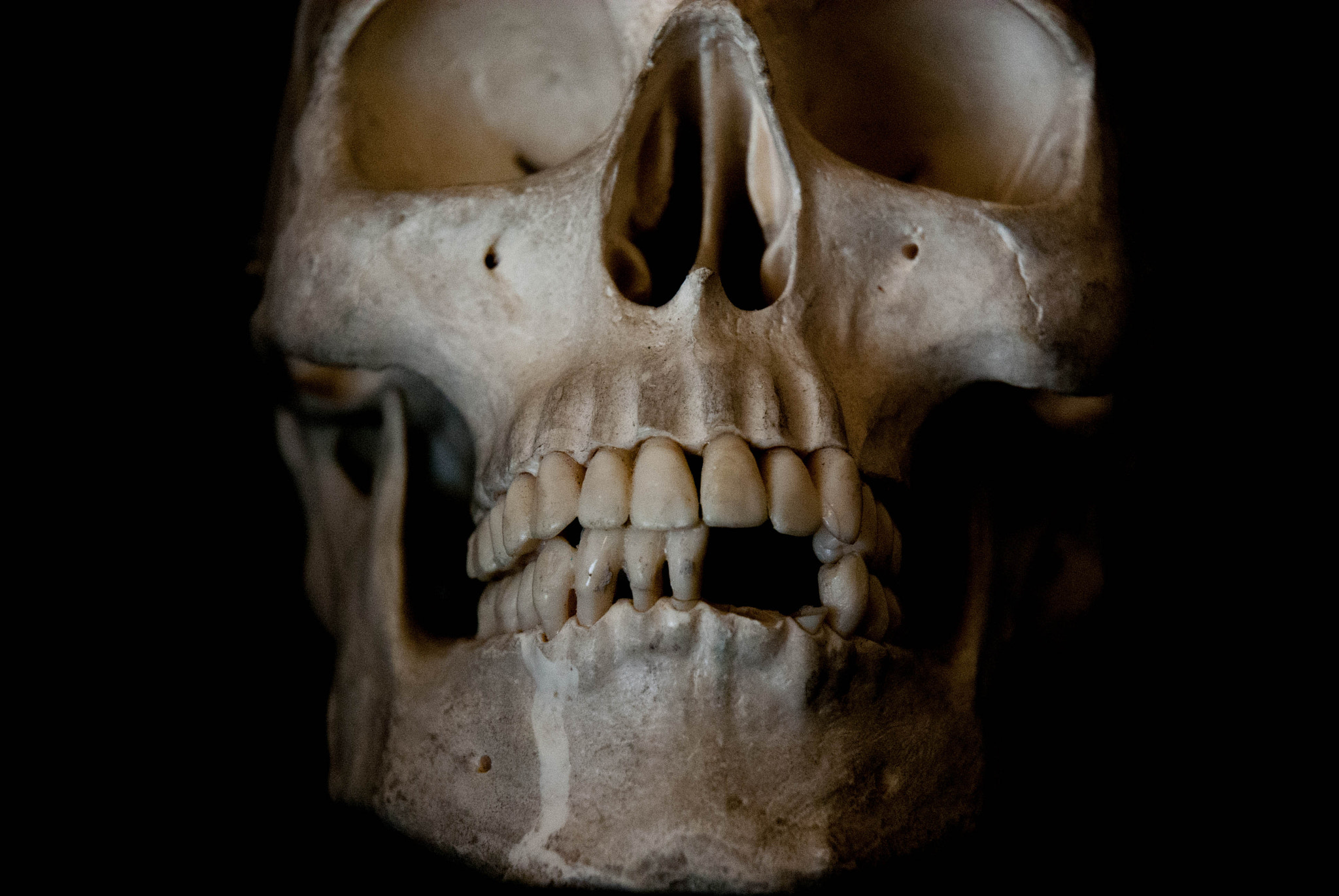 Nikon D200 sample photo. _cav0530-2.jpg photography