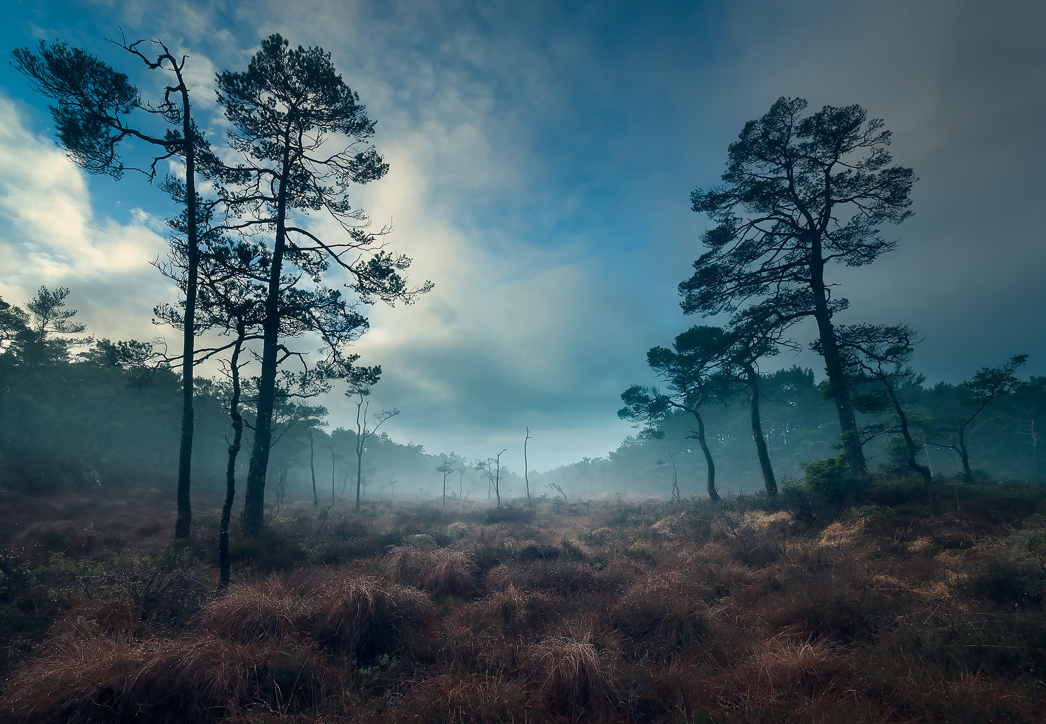 Olympus OM-D E-M5 II + Olympus M.Zuiko Digital ED 7-14mm F2.8 PRO sample photo. Misty morning photography