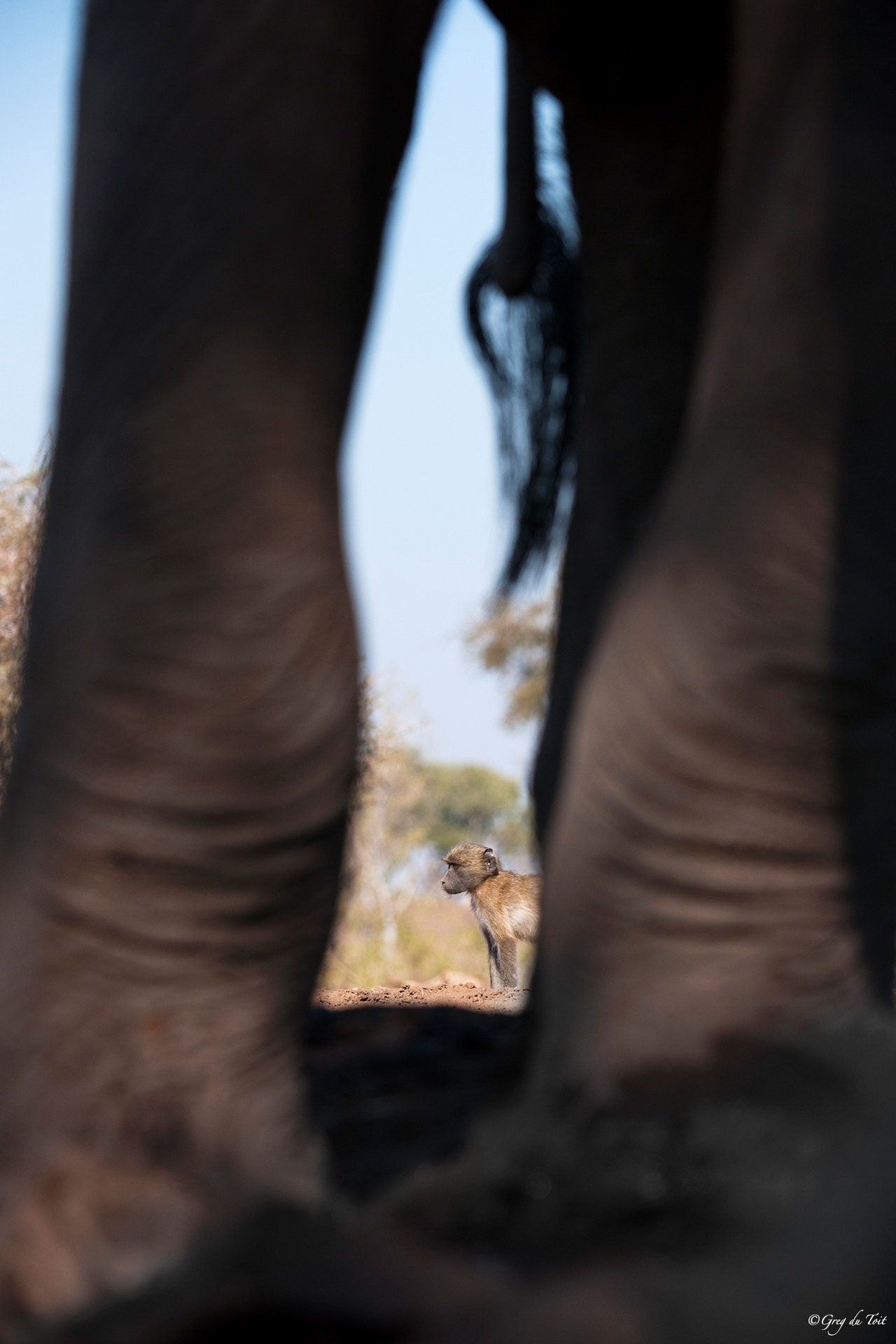 Nikon AF-S Nikkor 200-400mm F4G ED-IF VR sample photo. Inside the waterhole photography